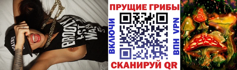 где продают   Облучье  мориарти телеграм  Галлюциногенные грибы мухоморы  mega зеркало 